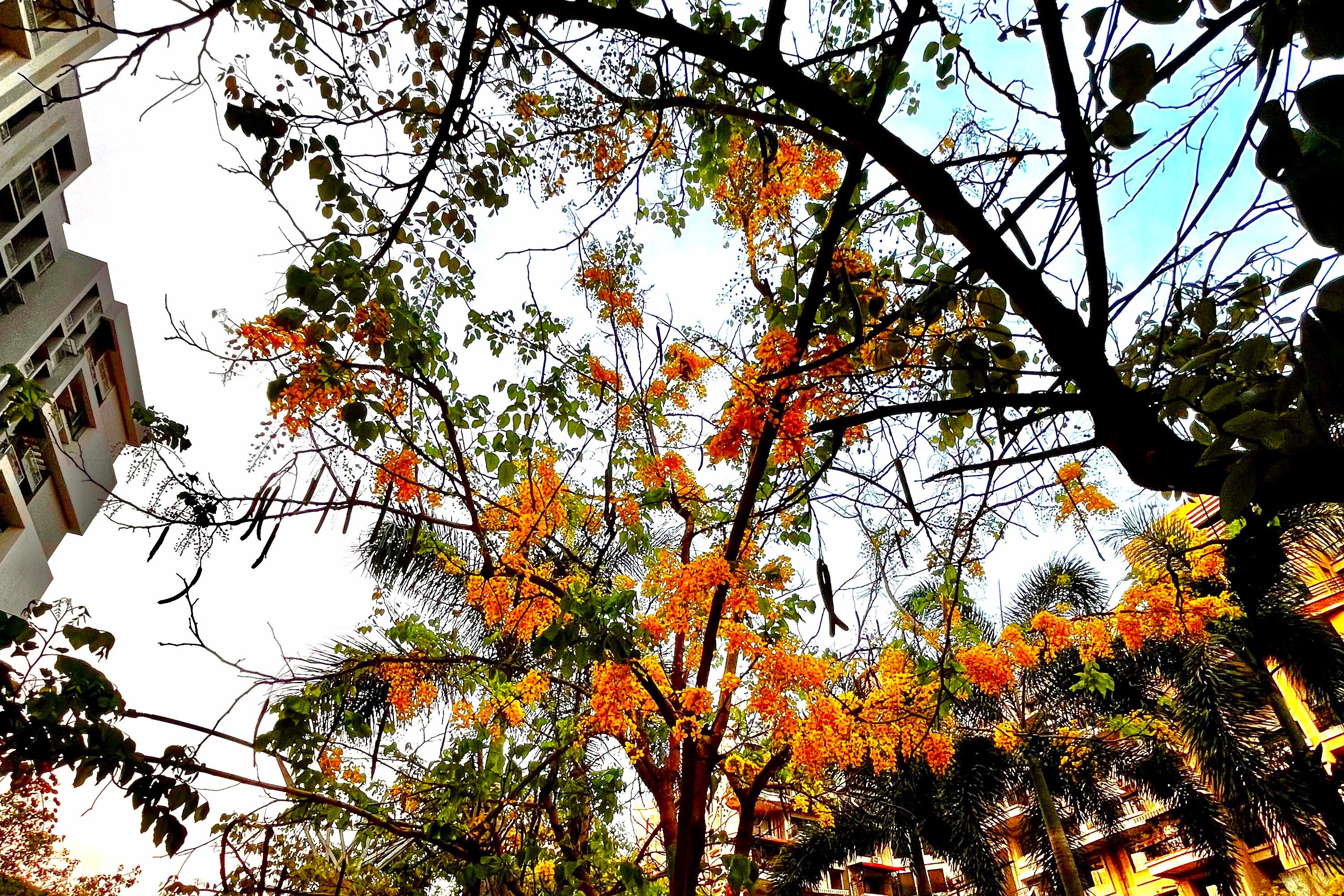 Blogging and feeling happy