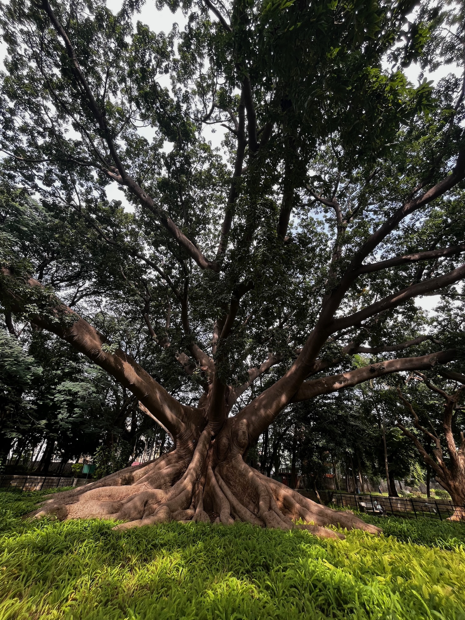 What do I want from 2022?