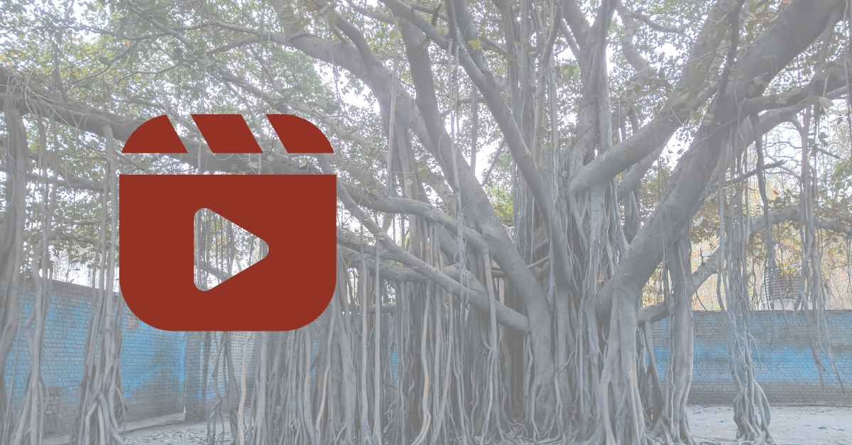 Linux PC with Linus Torvalds